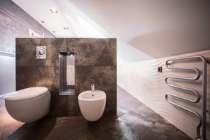 Modern and functional toilet in the attic